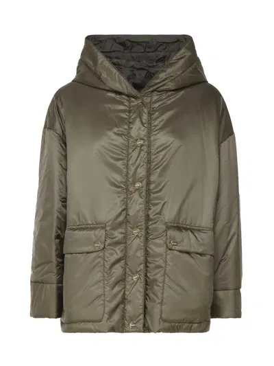 Max Mara The Cube Greenmo Padded Jacket In Nylon In Grün