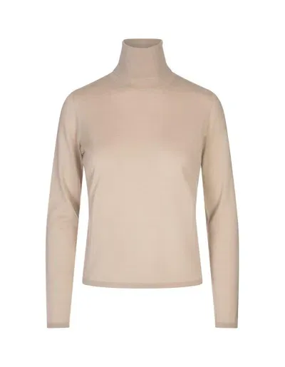 Max Mara Turtleneck Long-sleeved Knitted Top  In Casha