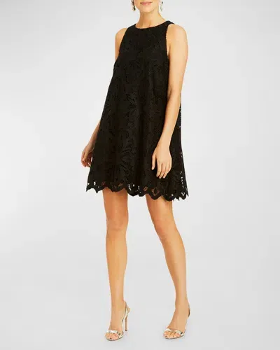 Mestiza New York Luli Lace Trapeze Mini Dress In Black