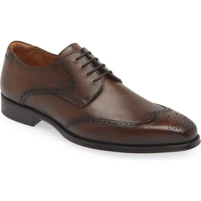 Mezlan Tasso Brogue Derby In Chestnut