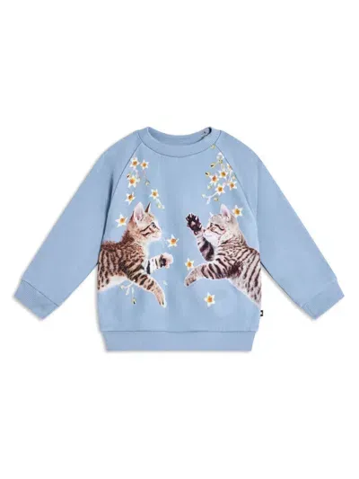 Molo Babies' Graphic-print Sweatshirt In Blue