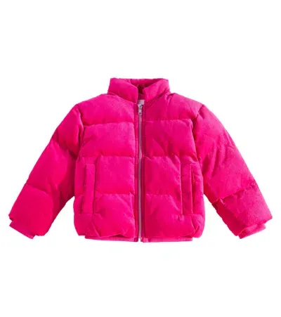 Molo Kids' Helina Cotton Puffer Jacket In Pink