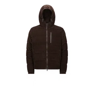 Moncler Collection Vederna Corduroy Short Down Jacket Brown In Marron