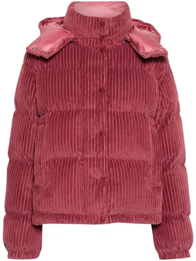 Moncler Daos Velvet Corduroy Puffer Jacket In Medium Red