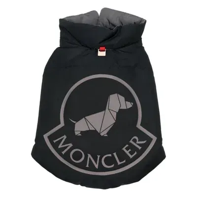 Moncler Genius General Accessories In Blue