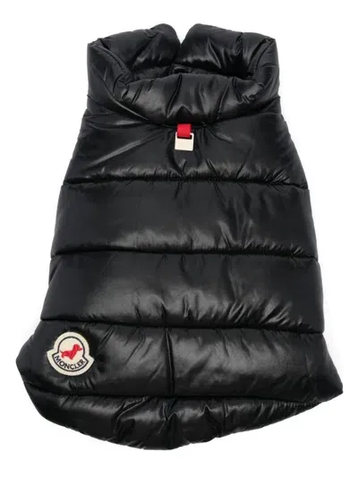 Moncler Genius Padded Dog Vest In Black