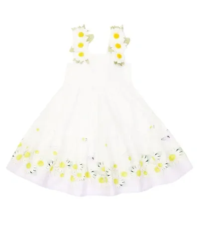 Monnalisa Baby Floral Cotton Dress In Bianco/glicine