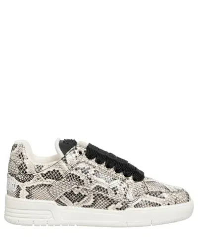 Moschino Teddy Bear Sneakers In Grey