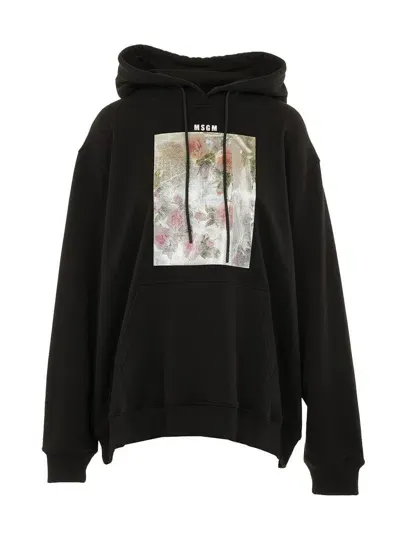 Msgm Graphic-print Cotton Hoodie In Black