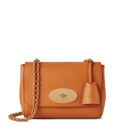 Mulberry Leather Lily Shoulder Bag In Orange