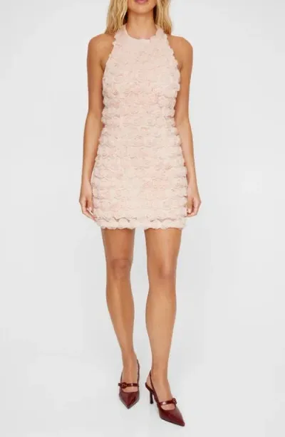 Nasty Gal 3d Floral Halter Minidress In Blush