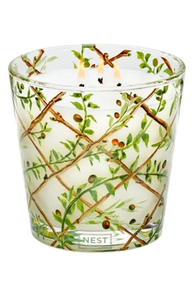 Nest New York Santorini Olive & Citron Luxury 4-wick Specialty Candle 47.3 Oz. In Multi