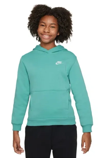 Nike Kids' Club Fleece Hoodie In Green Frost/white