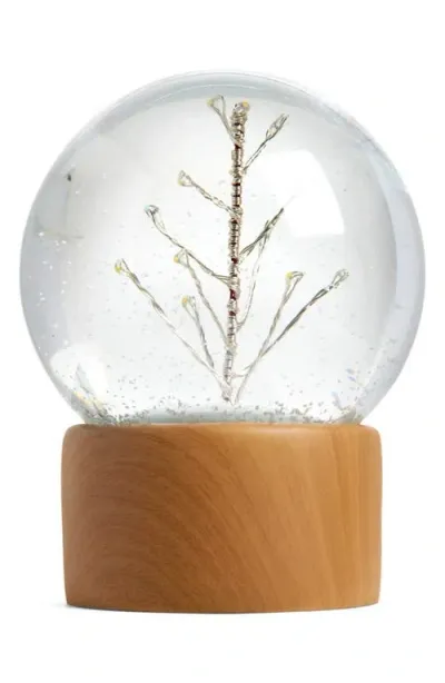 Nordstrom Lighted Tree Snow Globe In Natural Wood