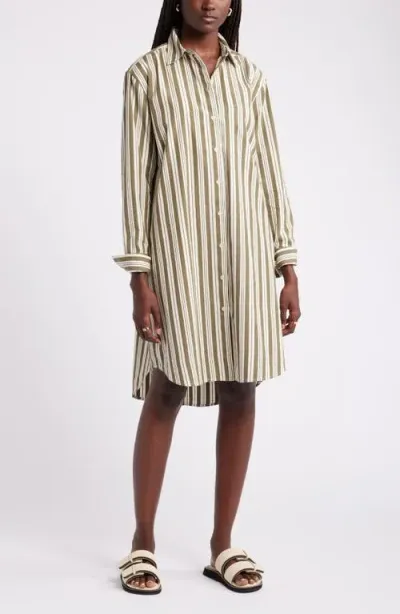 Nordstrom Stripe Long Sleeve Cotton Shirtdress In Olive- Ivory Leon Stripe