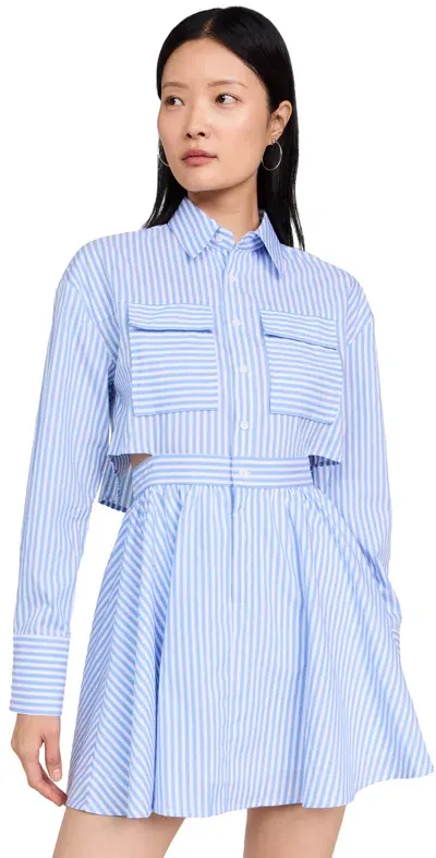 Opt O. P.t Stripe Long Sleeve Dress Stripe