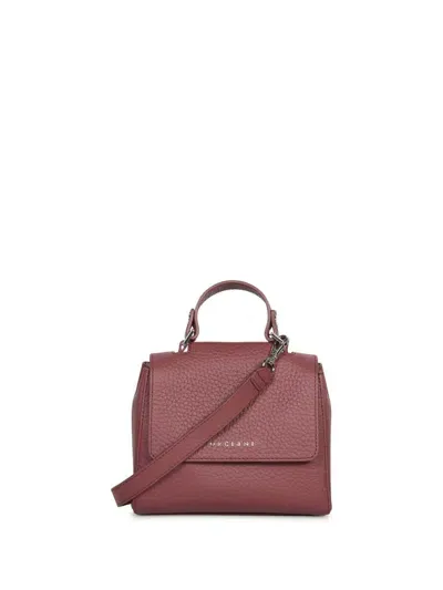 Orciani Bags In Red