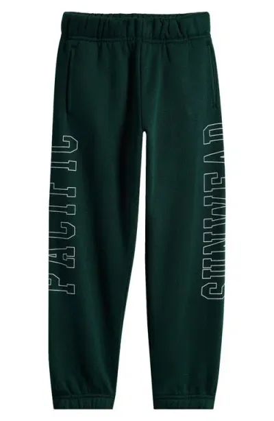 Pacsun Kids' Logo Outline Sweatpants In Pine Grove