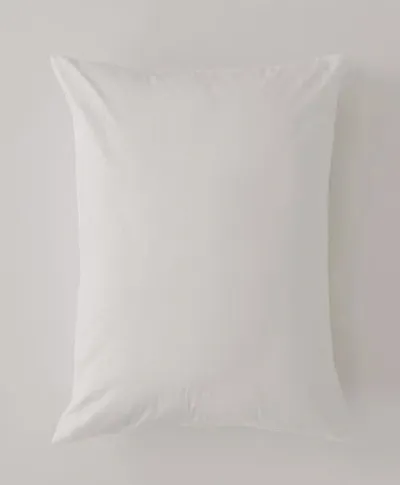 Pact Organic Cool-air Percale Sham 2-pack In White