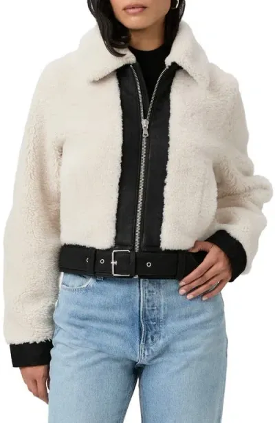 Paige Rhone Genuine Shearling & Suede Jacket In Ecru/black