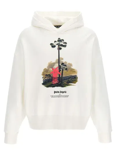 Palm Angels Douby Lost In Amazonia Hoodie In White