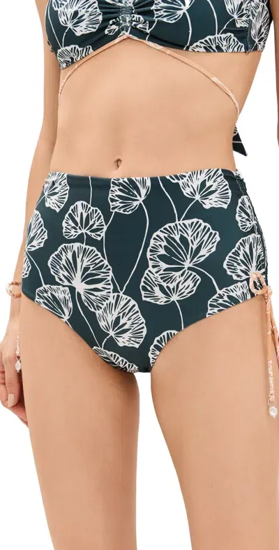 Palmacea Frida Bottoms Savanna