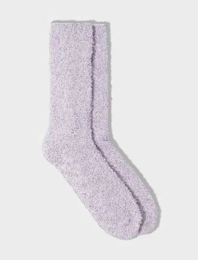 Papinelle Cozy Bed Socks In Purple