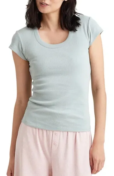 Papinelle Milla Ribbed Shelf Bra T-shirt In Light Moss