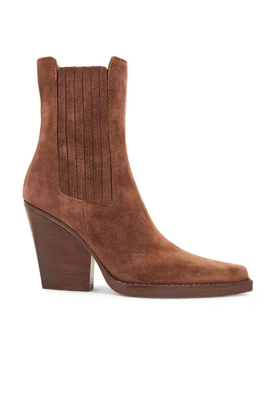 Paris Texas Dallas Ankle Boot In Brown