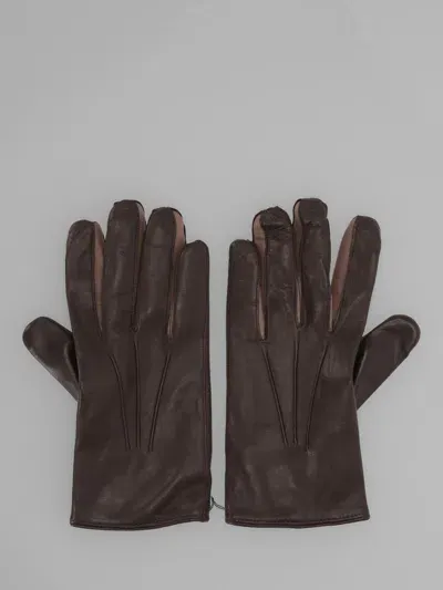 Paul Smith Men Glove Show In Dark Brown