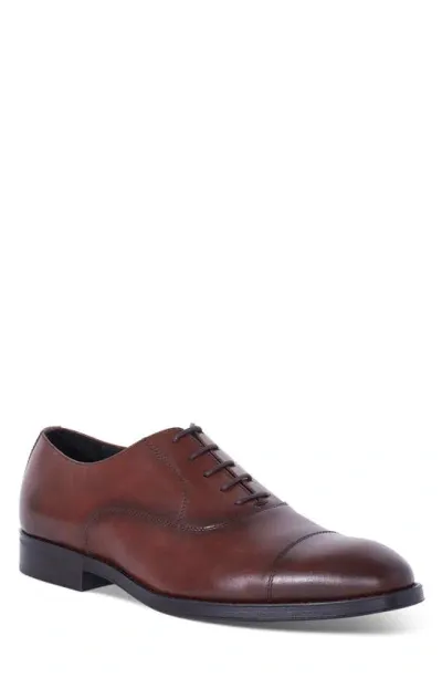 Paul Stuart Cameron Cap Toe Oxford In Brandy