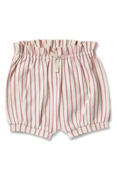 Pehr Unisex Stripes Away Pants - Baby In Ink