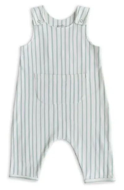 Pehr Babies'  Stripes Away Organic Cotton Overalls In Turquoise/aqua