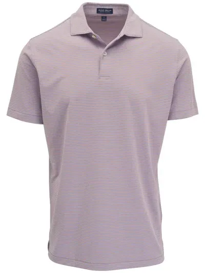 Peter Millar Striped Polo Shirt In Purple