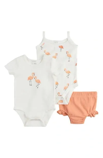 Petit Lem Babies'  Flamingo 2-pack Bodysuits & Ruffle Bloomers Set In Off White