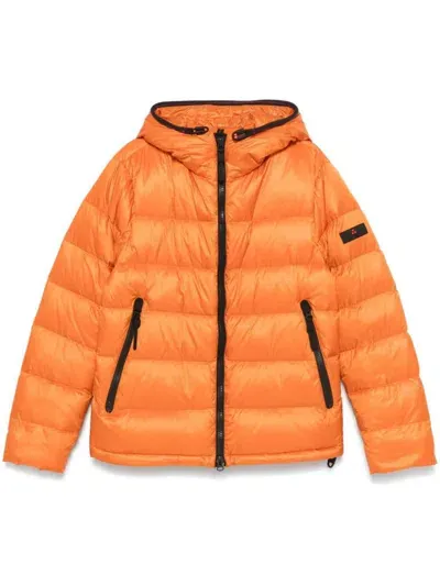 Peuterey Coats Orange