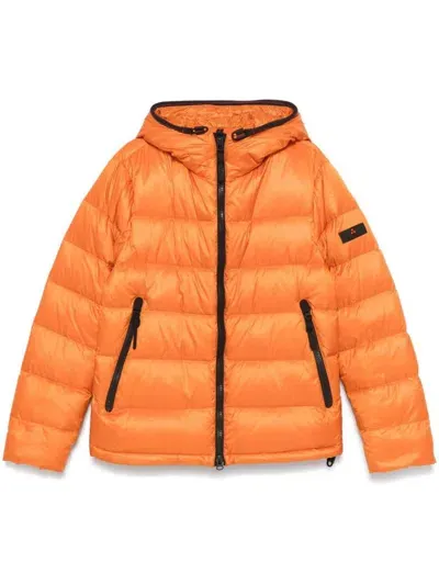 Peuterey Honova Jacket In Orange