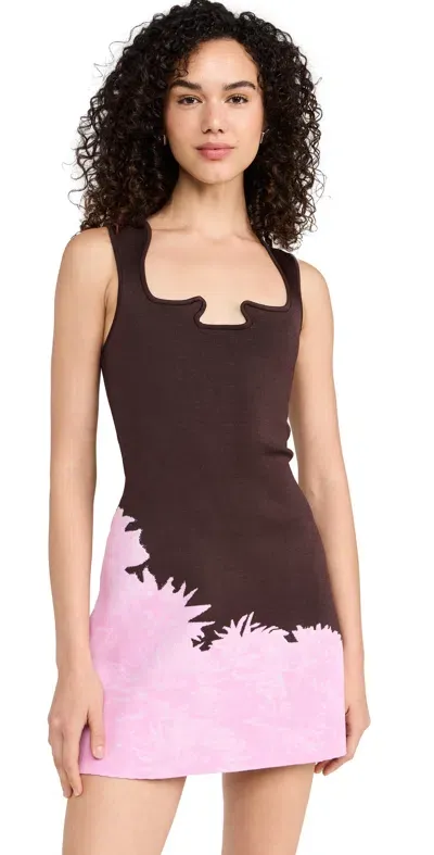 Ph5 Mini Tank Dress Pink Brown