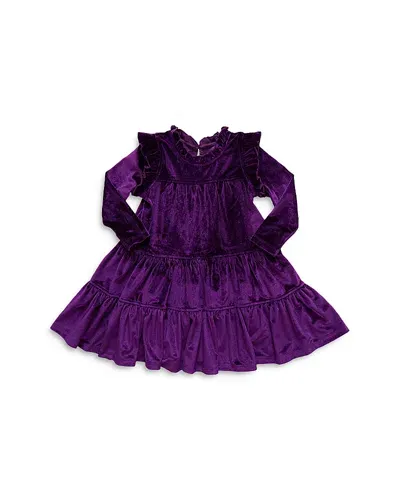 Pink Chicken Girls' Kalani Velour Dress - Little Kid In Plum Velour