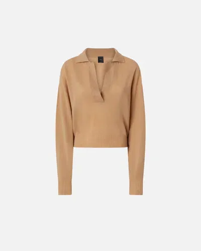 Pinko Short Cashmere-blend Sweater With Collar In Warm Taupe Beige