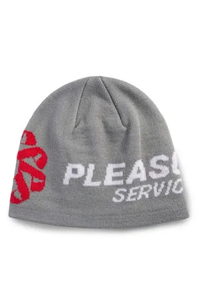 Pleasures Service Skully Beanie In Grey