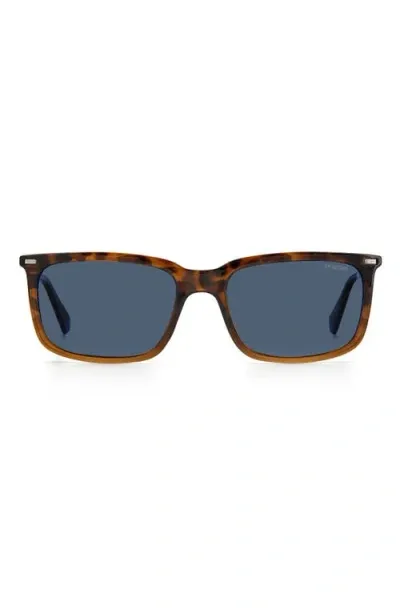 Polaroid 55mm Polarized Rectangular Sunglasses In Havana Brown/blue Polar