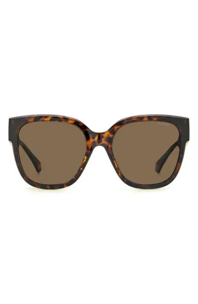 Polaroid 55mm Polarized Square Sunglasses In Havana/bronze Polar