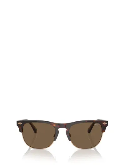 Polo Ralph Lauren Eyewear Pillow Frame Sunglasses In Multi