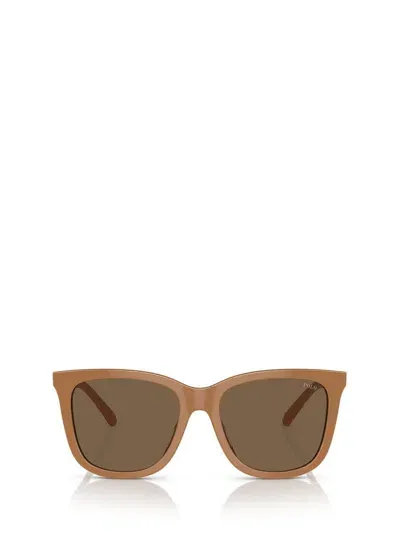 Polo Ralph Lauren Sunglasses In Shiny Brown