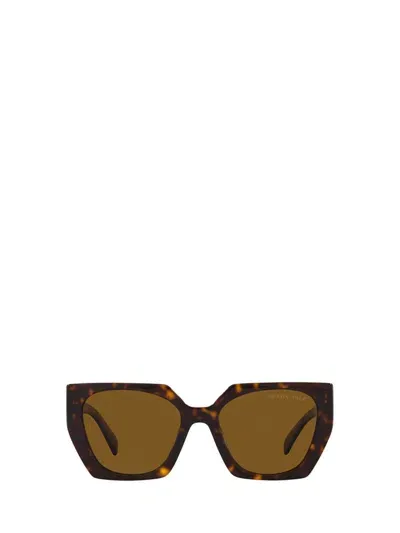 Prada Eyewear Cat In Brown