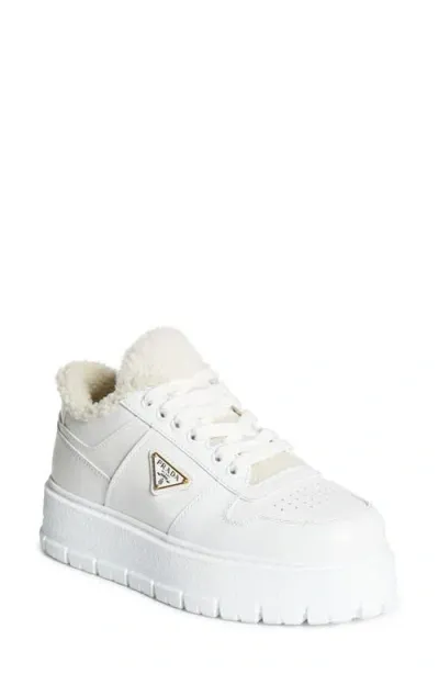 Prada Logo Sport Genuine Shearling Lined Sneaker In Bianco