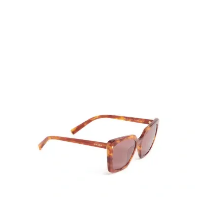 Prada Lunettes De Soleil In Brown