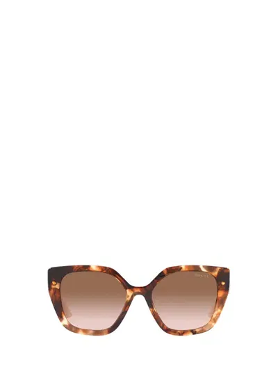 Prada Eyewear Cat In Caramel Tortoise