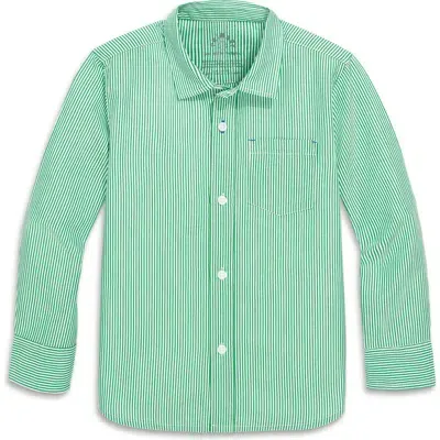 Primary Long Sleeve Button Down In Stripe In Green Apple White Stripe